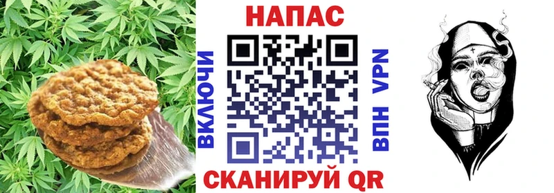 кракен как войти Балаково Cannafood конопля