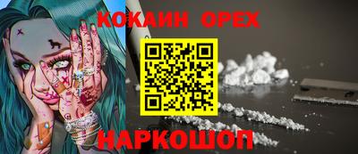 дмт Аргун