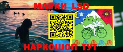 дмт Аргун