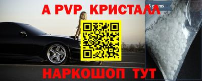 дмт Аргун