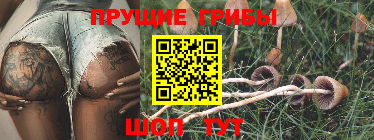Галлюциногенные грибы MAGIC MUSHROOMS Балаково