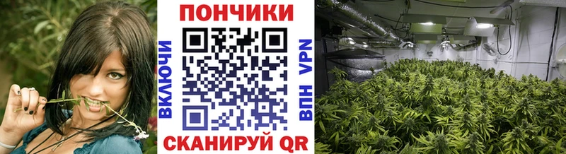 Марихуана SATIVA & INDICA где продают Балаково